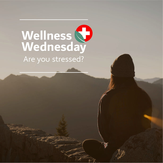 Wellness Wednesday - Are You Stressed?