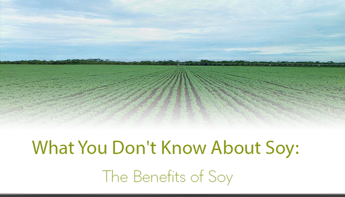 What You Don't Know About Soy: The Benefits of Soy