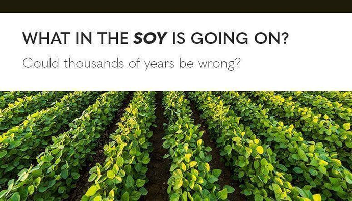 What in the soy is going on? – Could thousands of years be wrong?